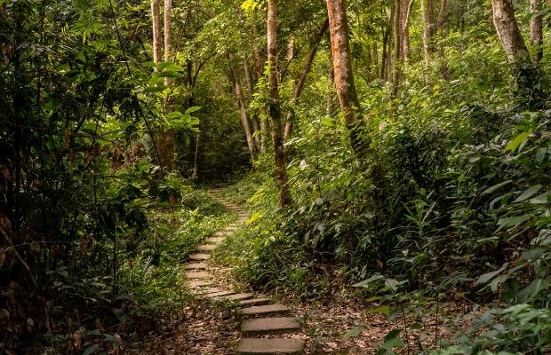 Phong Nha National Park 